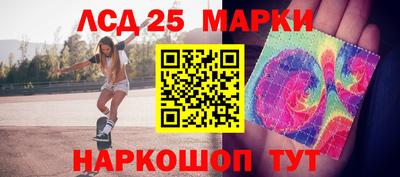 гашик Новодвинск