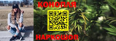 гашик Новодвинск