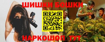 гашик Новодвинск
