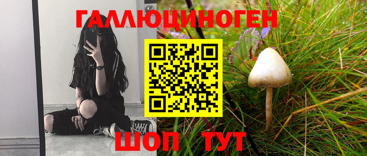 Галлюциногенные грибы GOLDEN TEACHER  Вход с VPN  Шатура 