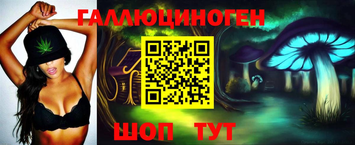 Галлюциногенные грибы Cubensis Шатура